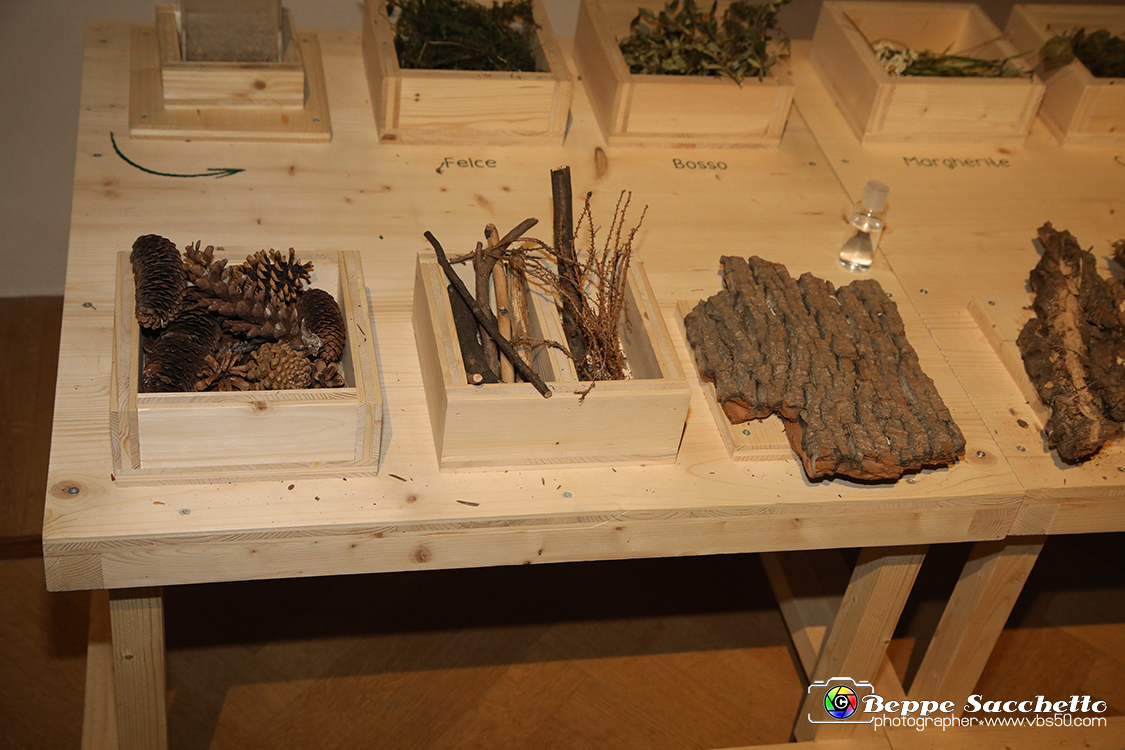 VBS_1188 - Castello di Miradolo - Mostra Oltre il giardino l'Abbecedario di paolo Pejrone.jpg